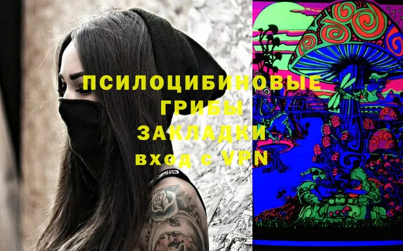 Псилоцибиновые грибы Cubensis  где можно купить наркотик  Великие Луки 